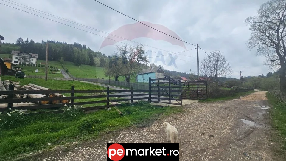Oportunitate de investiție în Fundatica – teren intravilan cu panoramă de poveste - pemarket.ro