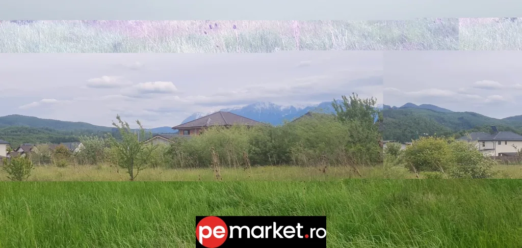 Teren intravilan 1000 mp – Cristian, Brașov - pemarket.ro