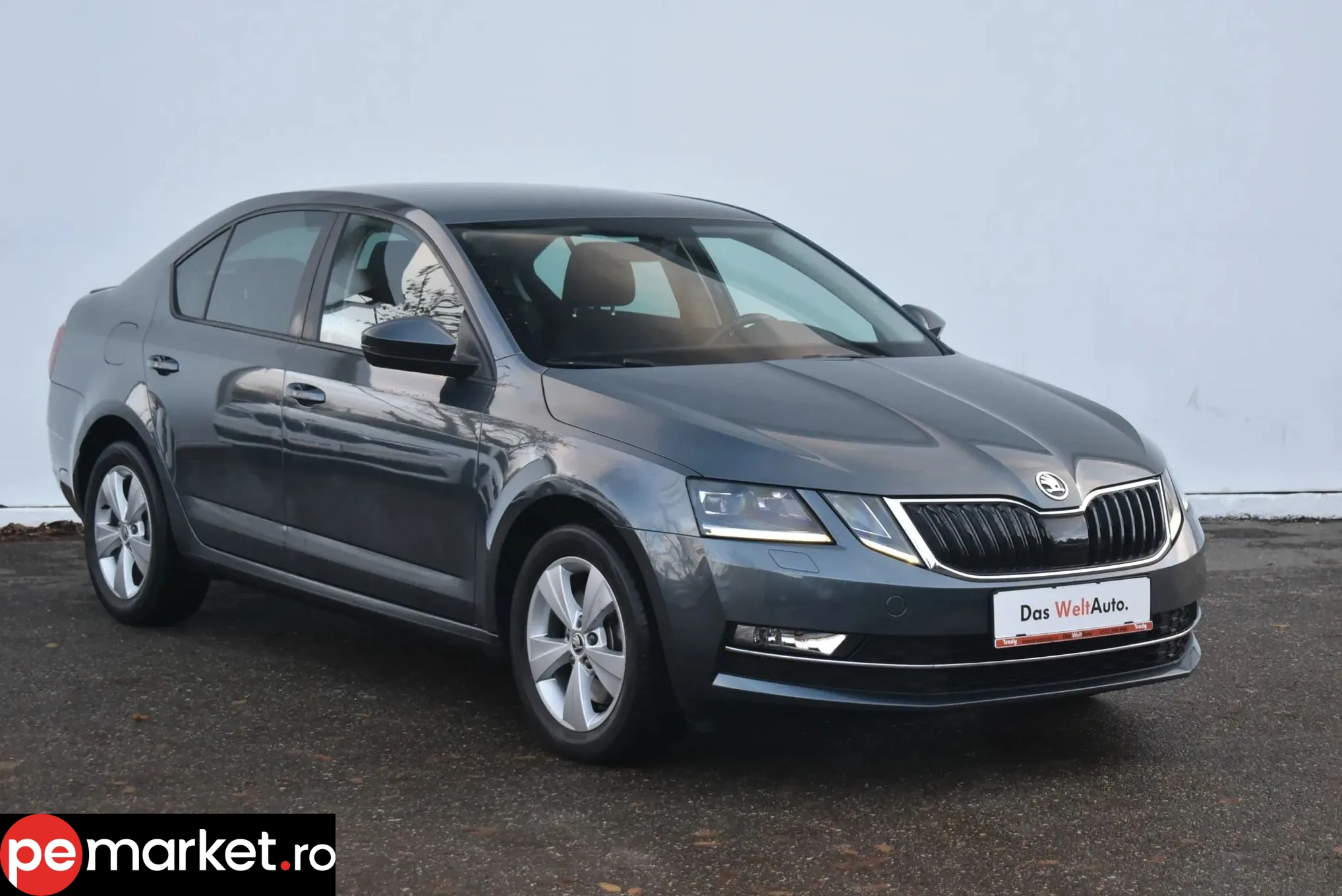 SKODA OCTAVIA - pemarket.ro
