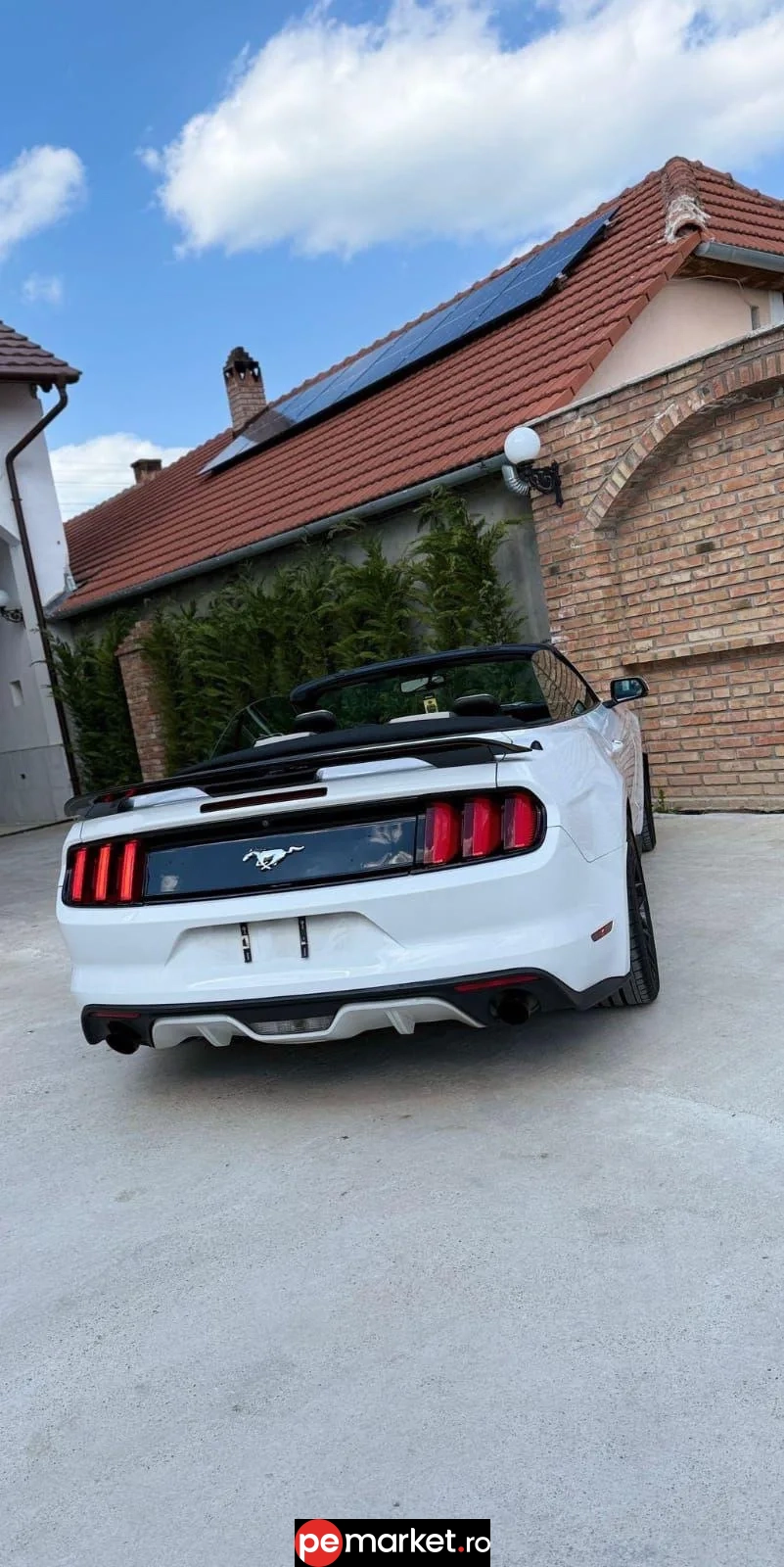 Închiriază Ford Mustang SHELBY - pemarket.ro