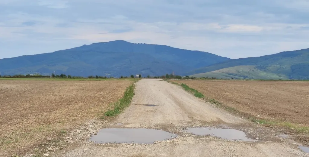 Teren de vânzare – Cărpiniș, Brașov - pemarket.ro