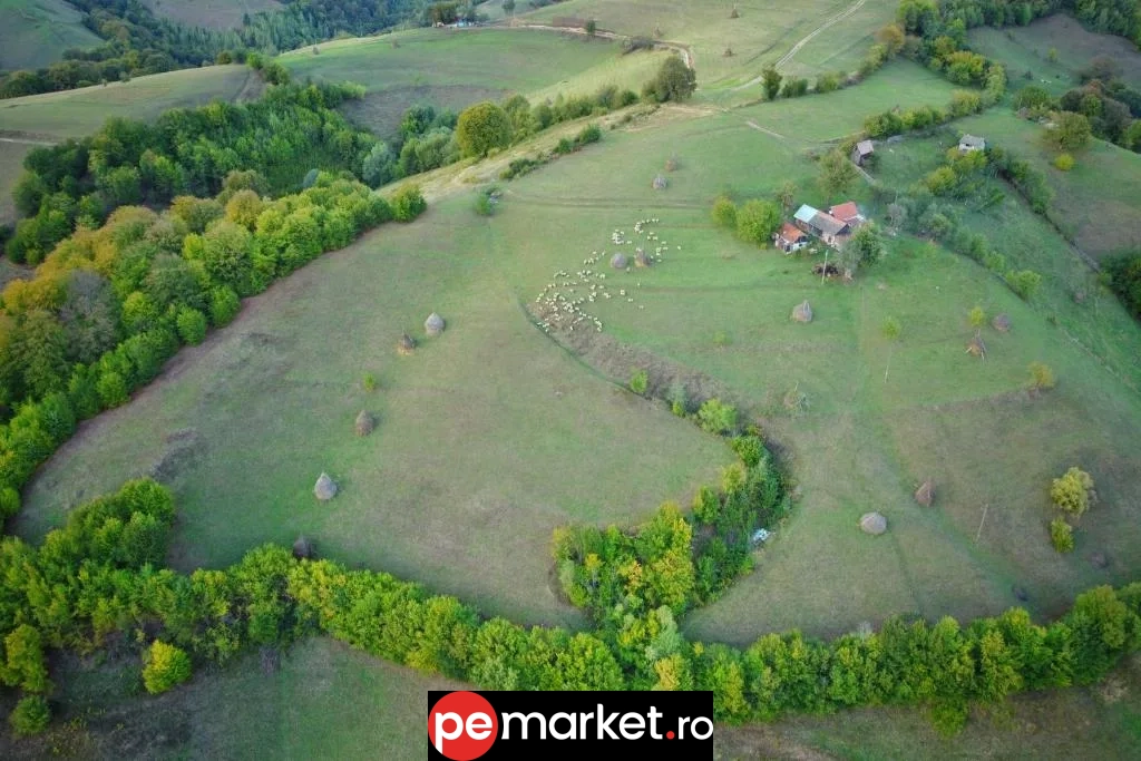 Căsuța din Valea Iepii – Refugiu romantic în inima naturii - pemarket.ro