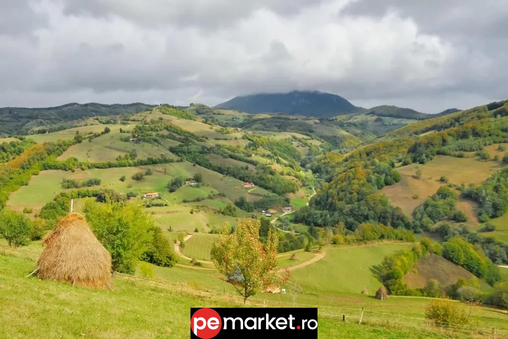 Căsuța din Valea Iepii – Refugiu romantic în inima naturii - pemarket.ro