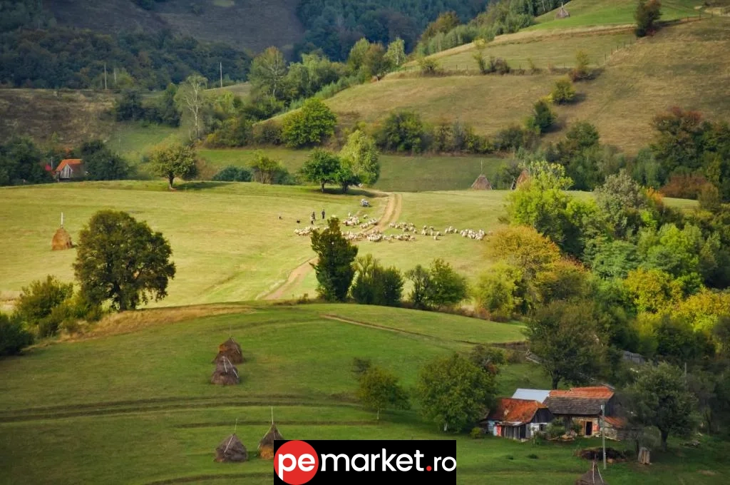 Căsuța din Valea Iepii – Refugiu romantic în inima naturii - pemarket.ro