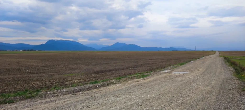Teren de vânzare – Cărpiniș, Brașov - pemarket.ro