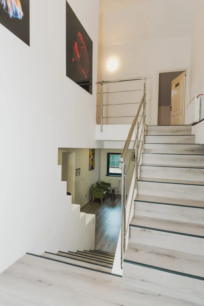 Casa MODERNA 2 minute Lacul Herastrau I OPORTUNITATE INVESTITIE - pemarket.ro