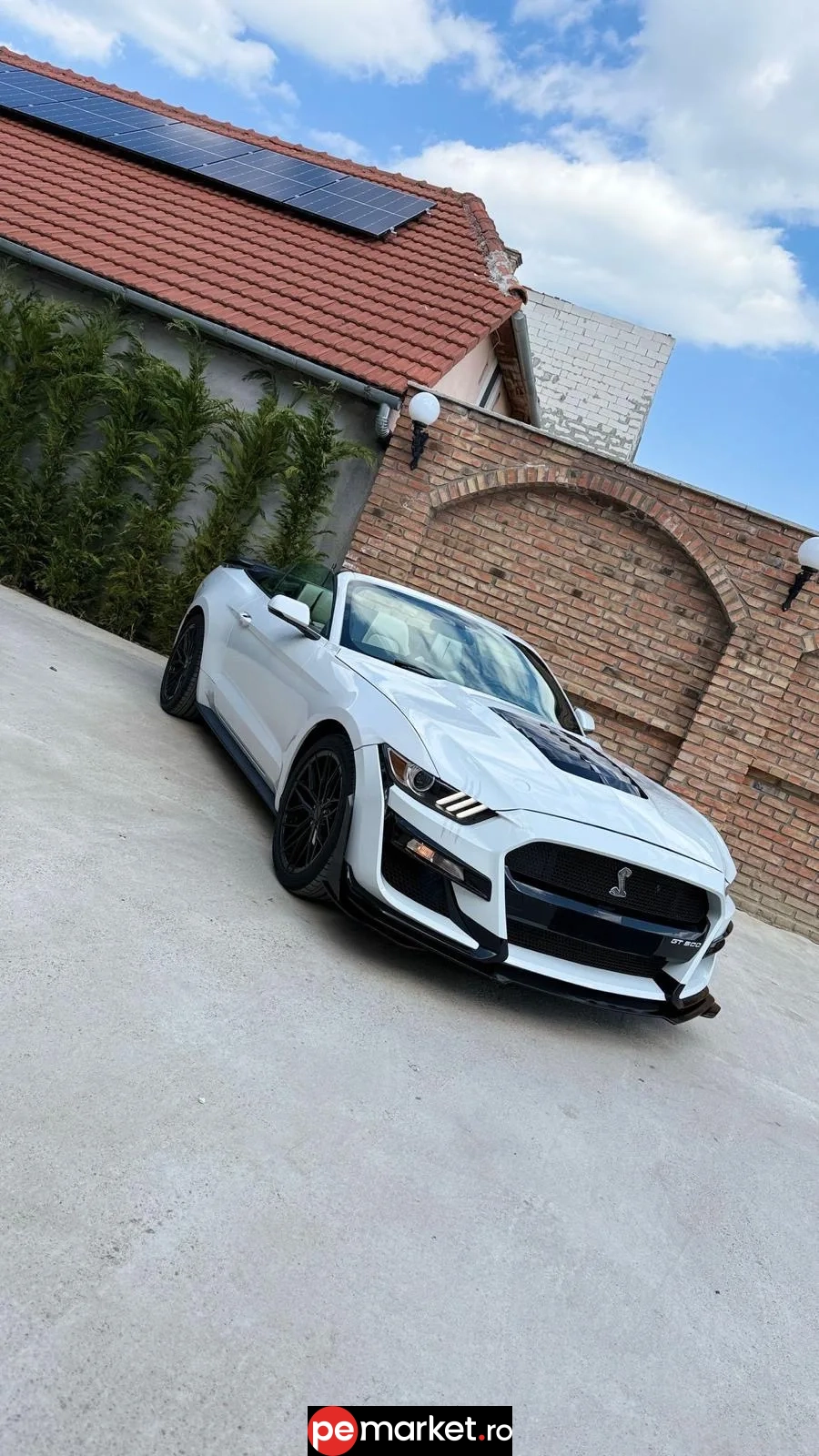 Închiriază Ford Mustang SHELBY - pemarket.ro