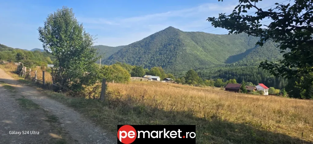 Teren de vânzare – 1.574 mp | Lepșa – spre Greșu | 25 €/mp (ușor negociabil) - pemarket.ro