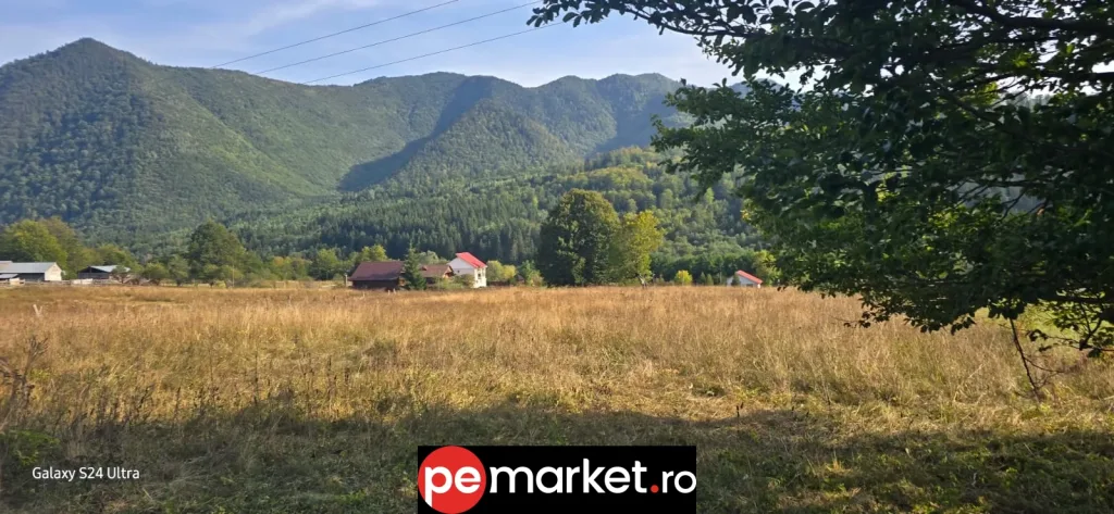 Teren de vânzare – 1.574 mp | Lepșa – spre Greșu | 25 €/mp (ușor negociabil) - pemarket.ro