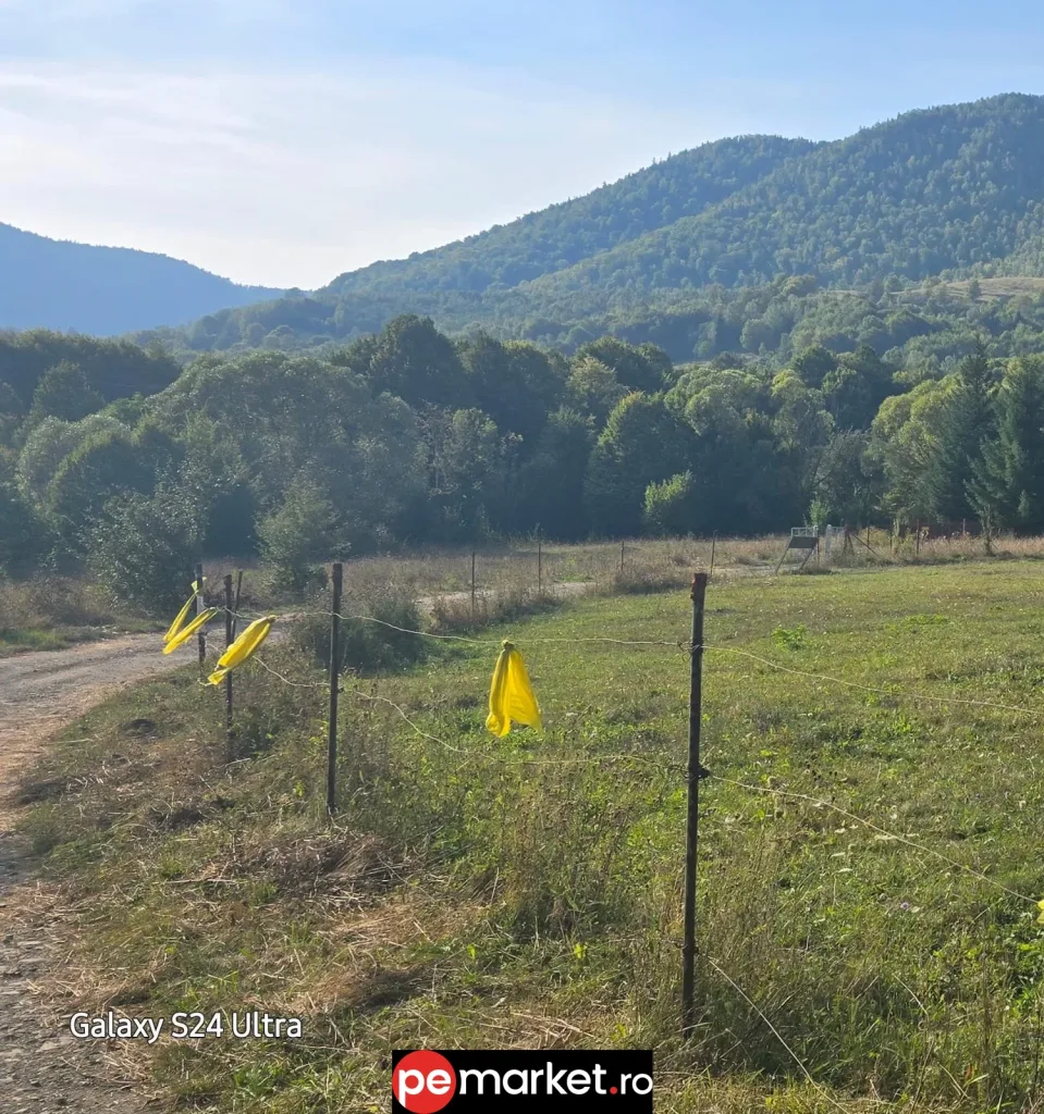 Teren de vânzare – 1.574 mp | Lepșa – spre Greșu | 25 €/mp (ușor negociabil) - pemarket.ro