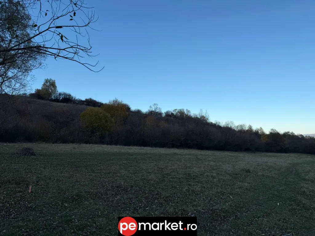 Teren de vânzare – 5.723 mp | Intravilan | Zărnești, Brașov - pemarket.ro