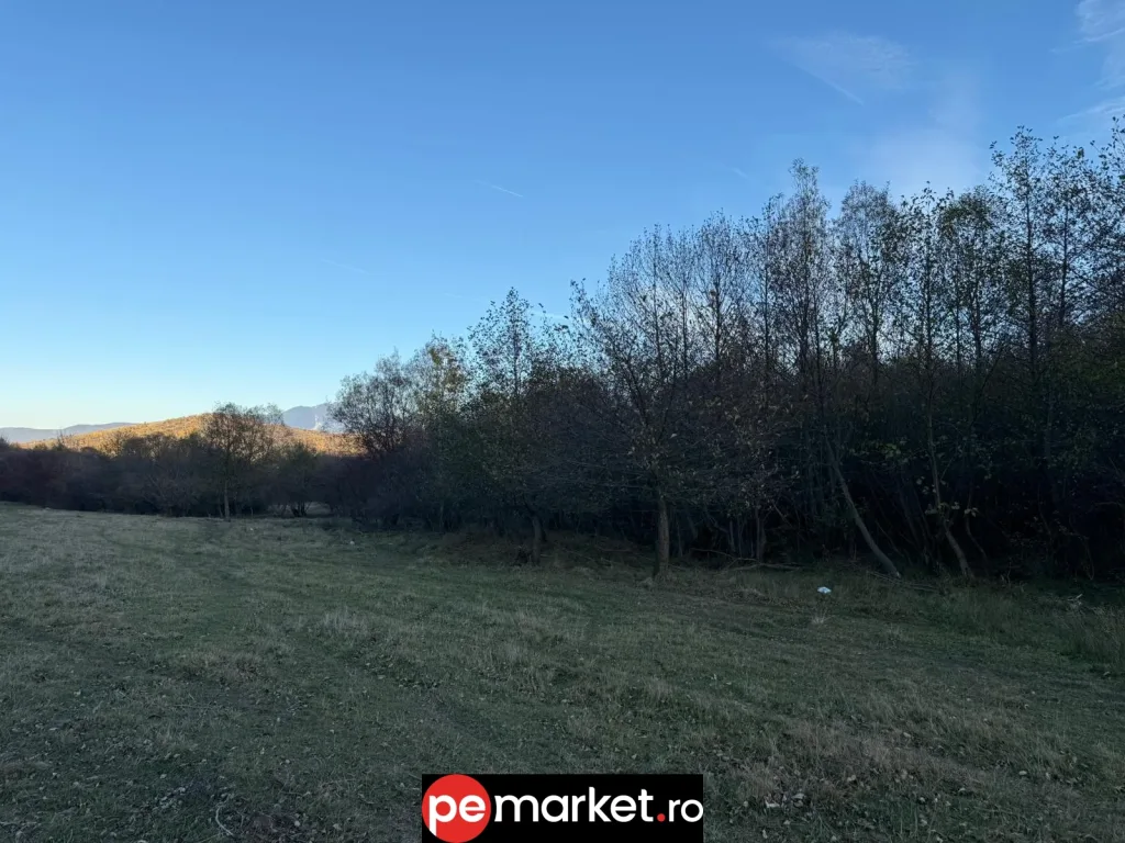 Teren de vânzare – 5.723 mp | Intravilan | Zărnești, Brașov - pemarket.ro