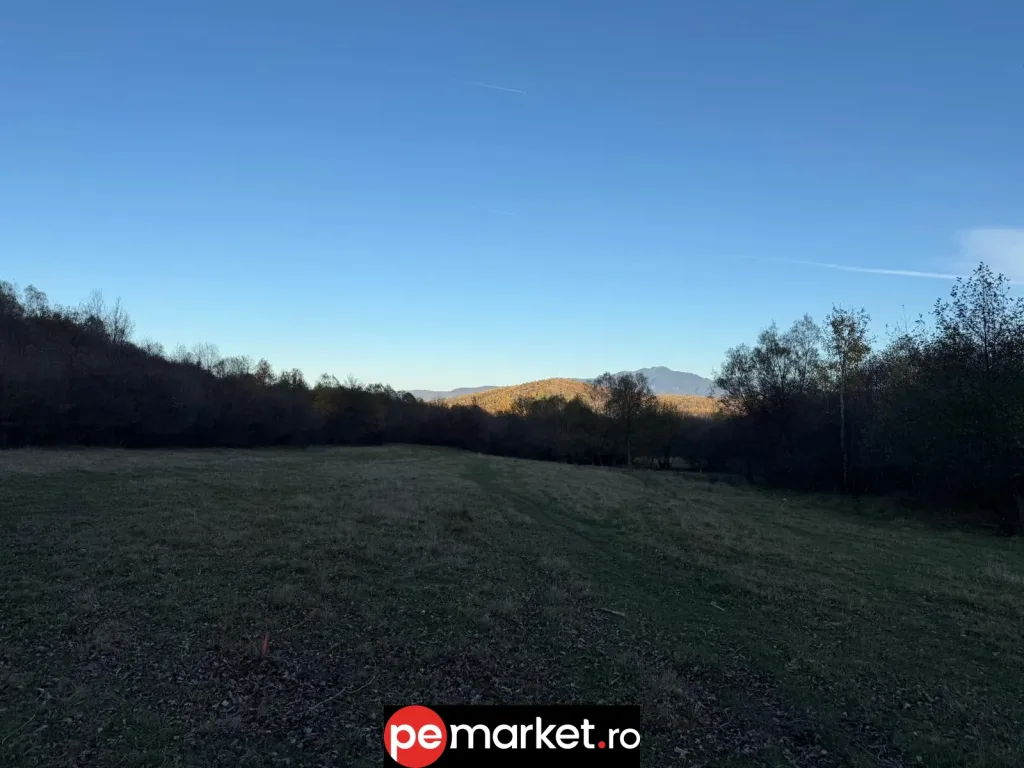 Teren de vânzare – 5.723 mp | Intravilan | Zărnești, Brașov - pemarket.ro