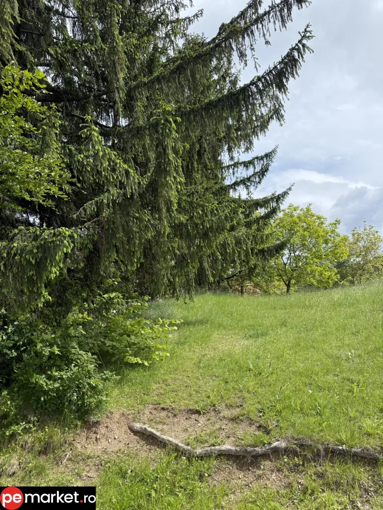 Teren de vânzare – Poiana Mărului, Brașov - pemarket.ro