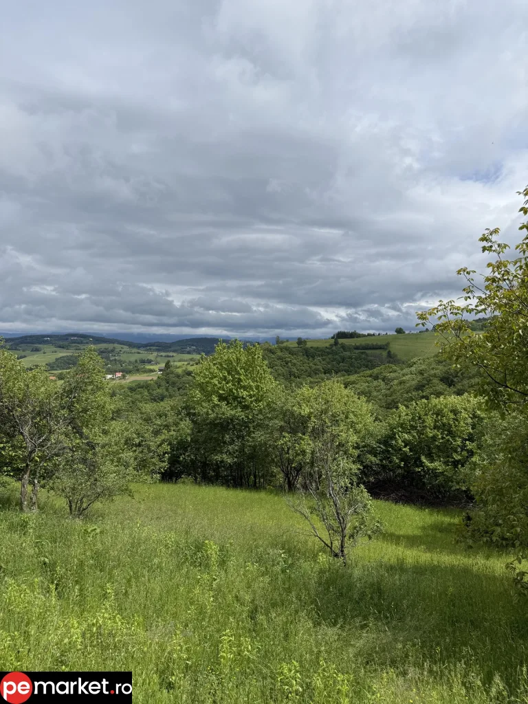 Teren de vânzare – Poiana Mărului, Brașov - pemarket.ro