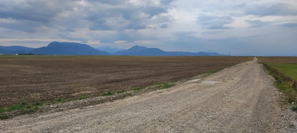 Teren de vânzare – Cărpiniș, Brașov - pemarket.ro