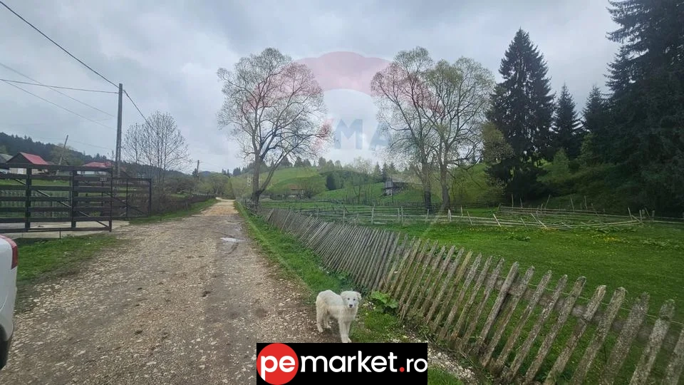 Oportunitate de investiție în Fundatica – teren intravilan cu panoramă de poveste - pemarket.ro