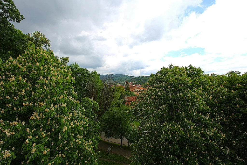 Apartament 2 camere, Dobrogeanu Gherea 2 - pemarket.ro