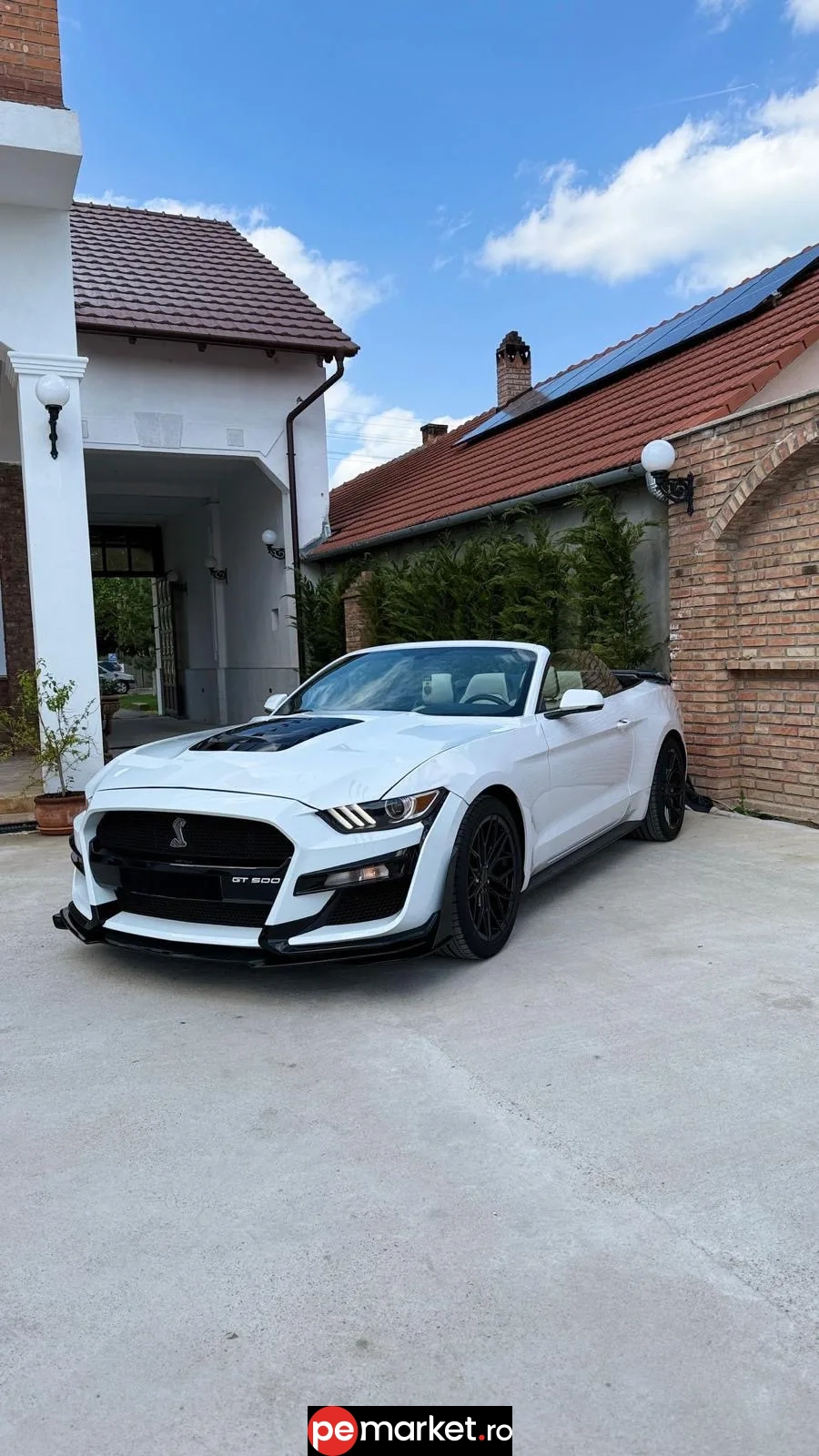 Închiriază Ford Mustang SHELBY - pemarket.ro
