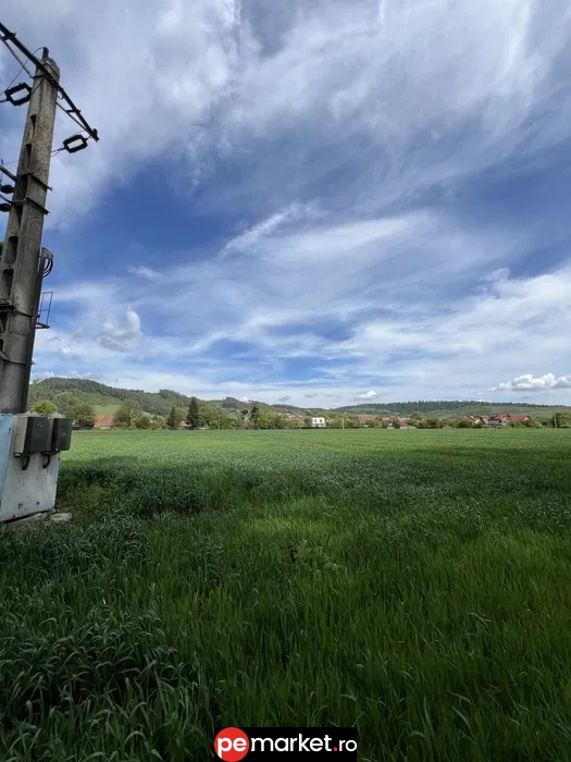 Teren pentru dezvoltare imobiliară | Zărnești, Brașov | 5.000 m² | PUZ aprobat - pemarket.ro