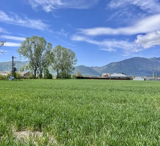 Teren pentru dezvoltare imobiliară | Zărnești, Brașov | 5.000 m² | PUZ aprobat - pemarket.ro