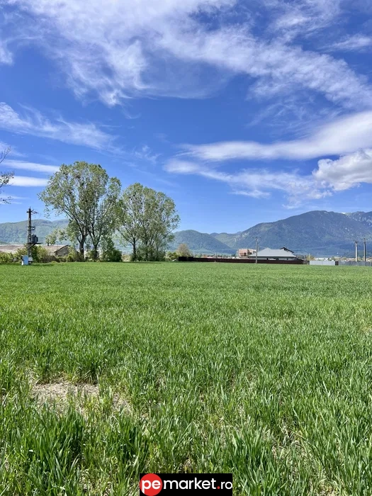 Teren pentru dezvoltare imobiliară | Zărnești, Brașov | 5.000 m² | PUZ aprobat - pemarket.ro