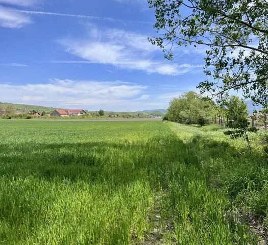 Teren pentru dezvoltare imobiliară | Zărnești, Brașov | 5.000 m² | PUZ aprobat - pemarket.ro