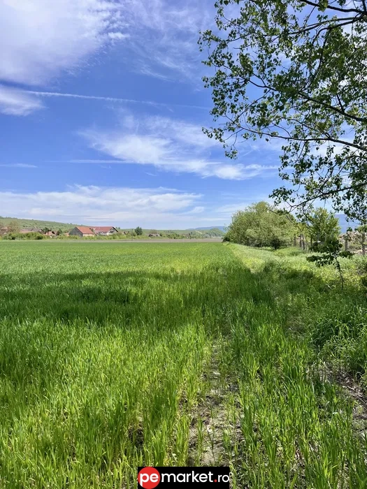 Teren pentru dezvoltare imobiliară | Zărnești, Brașov | 5.000 m² | PUZ aprobat - pemarket.ro