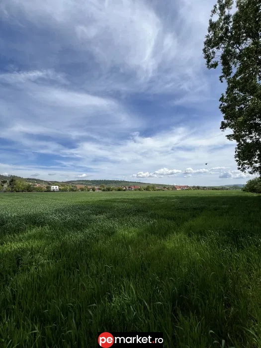 Teren intravilan curți-construcții | PUZ aprobat | Zărnești – Brașov - pemarket.ro