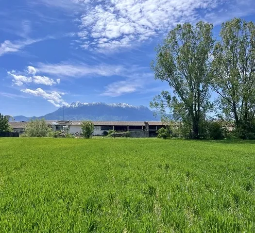 Teren de vânzare | Intravilan | Zărnești, Brașov | 1.150 m² - pemarket.ro