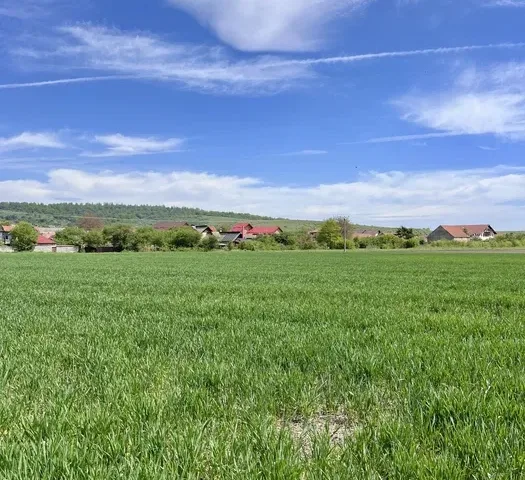 Teren de vânzare | Intravilan | Zărnești, Brașov | 1.150 m² - pemarket.ro