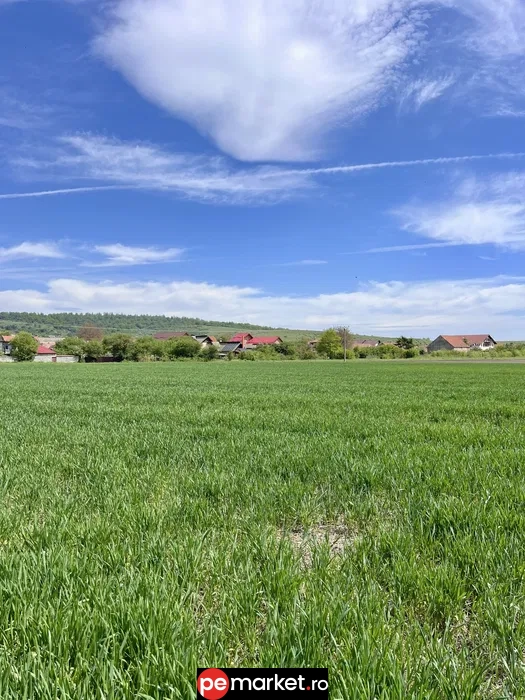Teren de vânzare | Intravilan | Zărnești, Brașov | 1.150 m² - pemarket.ro