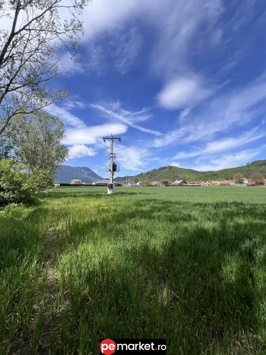 Teren de vânzare | Intravilan | Zărnești, Brașov | 1.150 m² - pemarket.ro