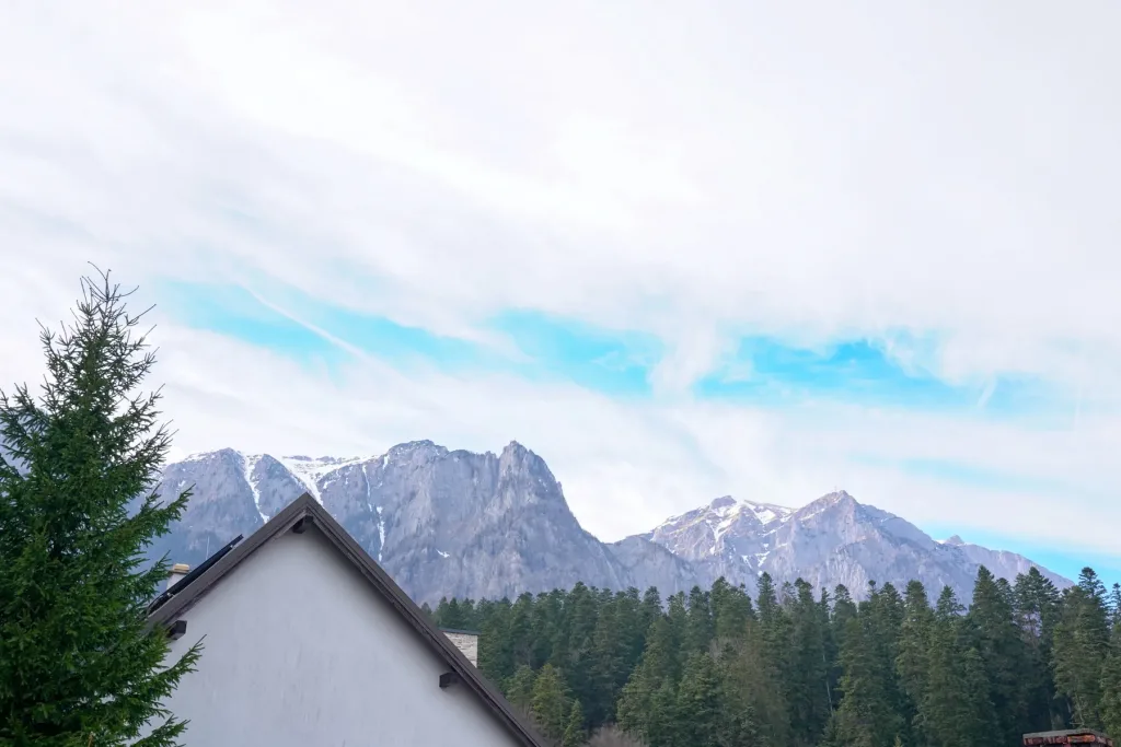 Vilă cu arhitectură rafinată pe Valea Prahovei – lux și natură - pemarket.ro